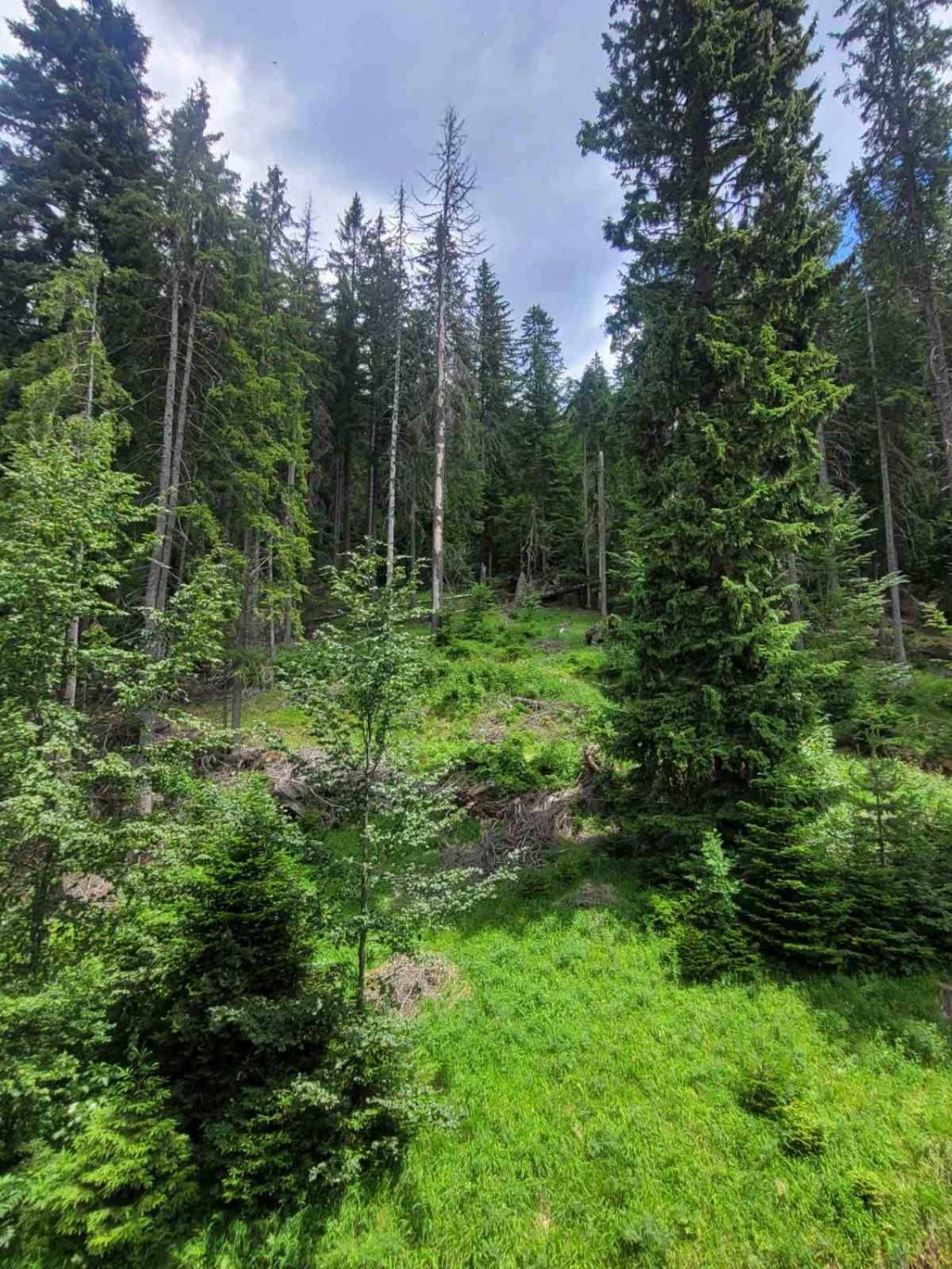 Николай Желев-Първи Еоод Pamporovo Exterior photo